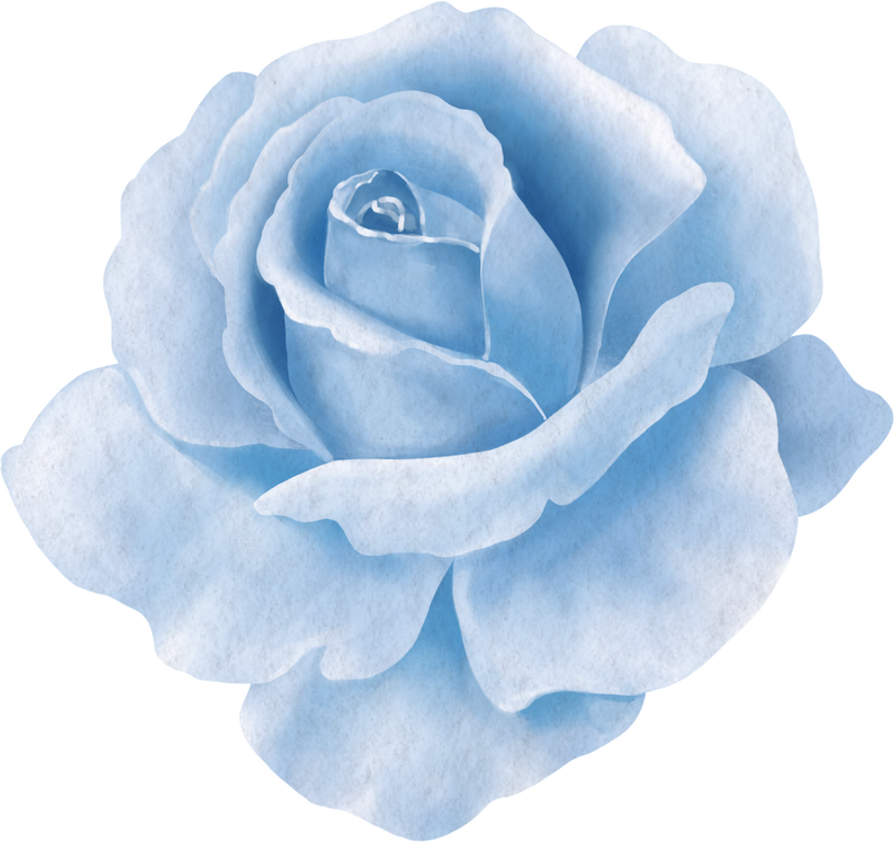 Blue Rose Flower